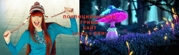 герыч Арсеньев