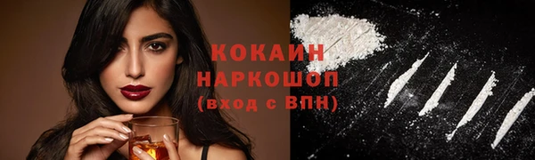 гидра Аркадак