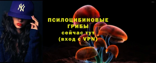 герыч Арсеньев