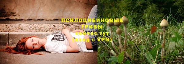 ALPHA PVP Армянск