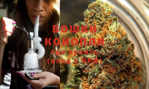 гидра Аркадак