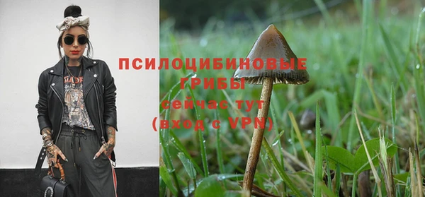 гидра Аркадак