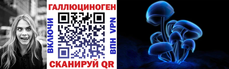 наркота  Солнечногорск  Галлюциногенные грибы Psilocybe 